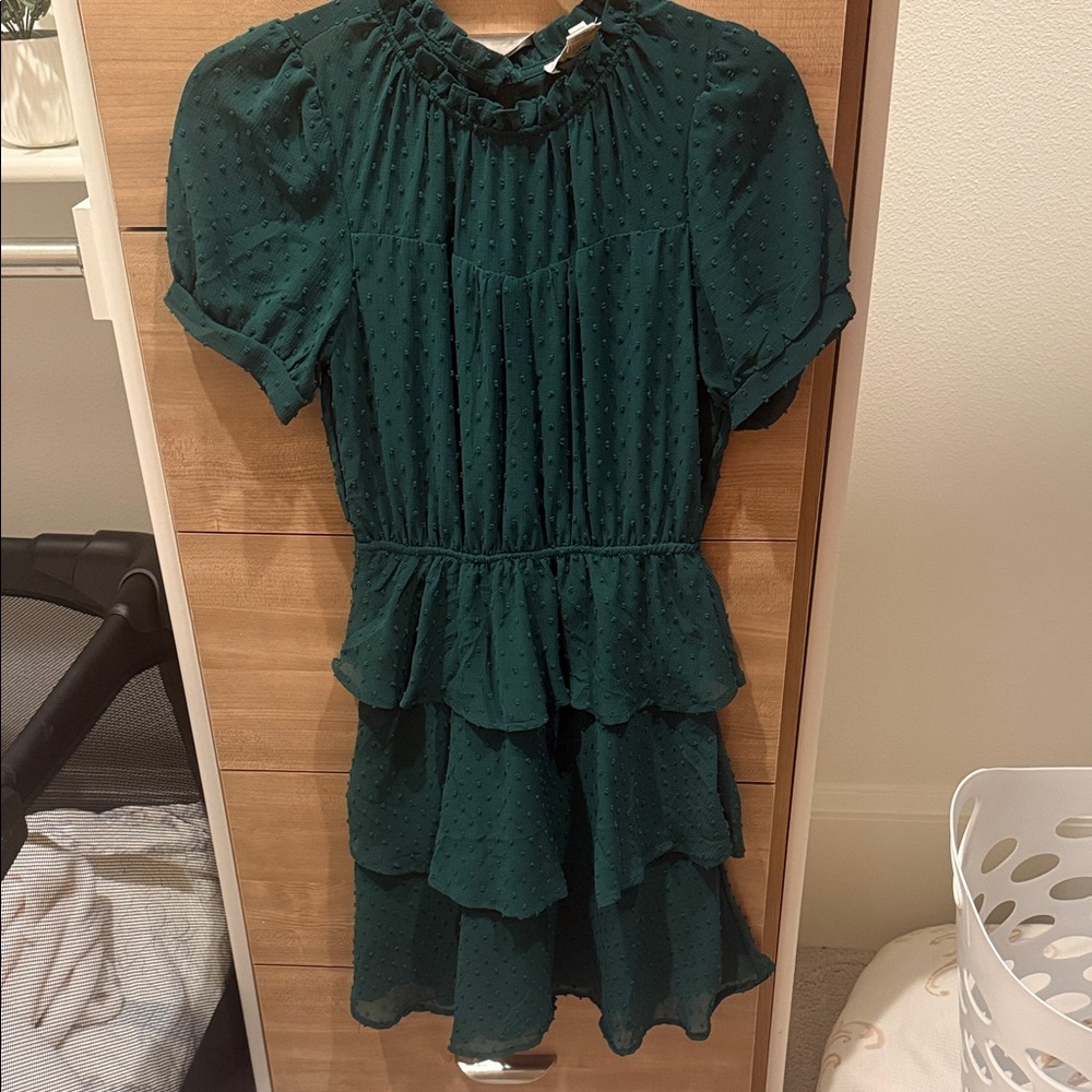 Monteau Dark green Textured Swiss Dot Formal Dress(Ships from OR)